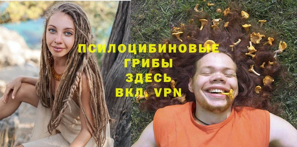 mdma Бородино