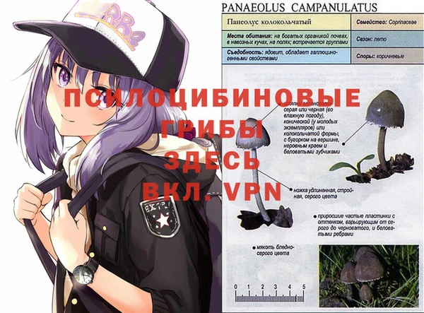 MDMA Premium VHQ Бронницы