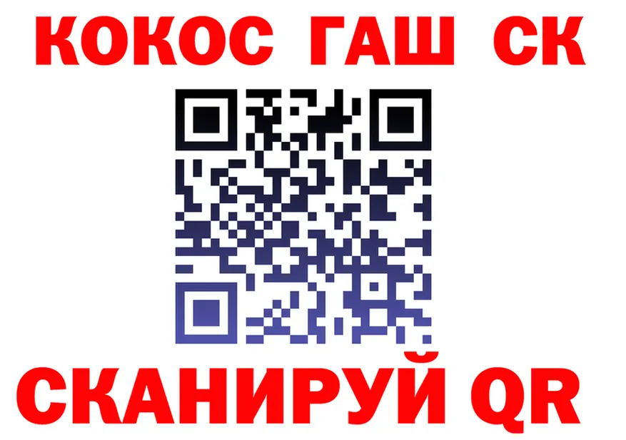 ГАШ Premium вход это omg Пенза