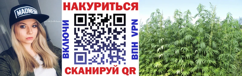 купить закладку  Пенза  Каннабис планчик 